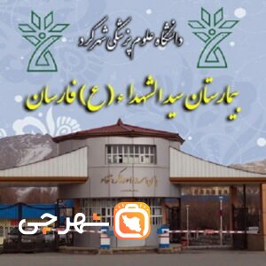 بیمارستان سید الشهدا فارسان